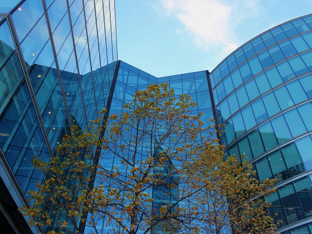 commercial office building with tree