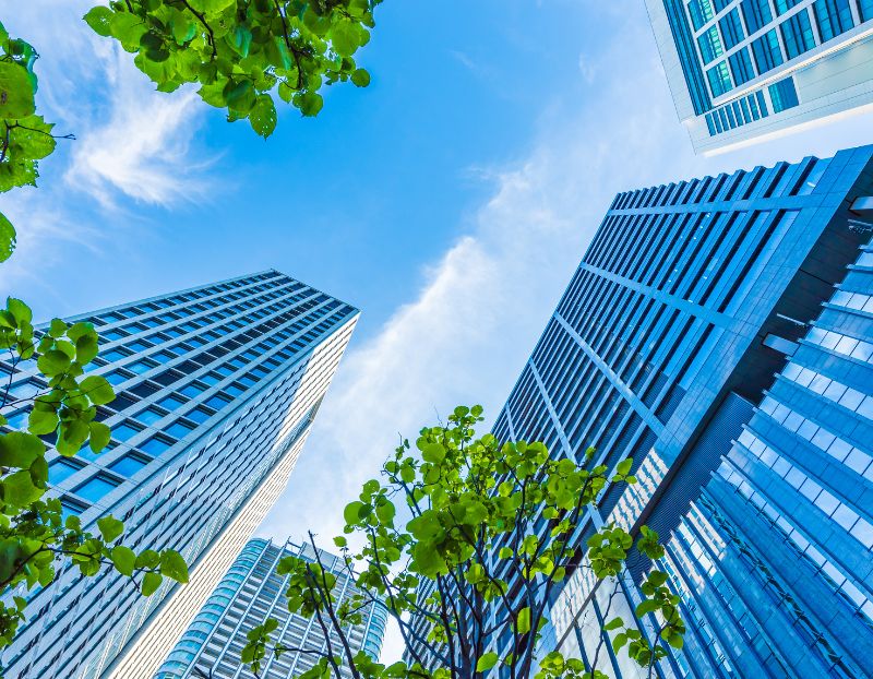 Buildings with leaves around