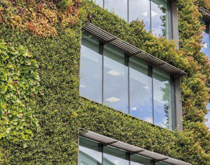 building with greenery