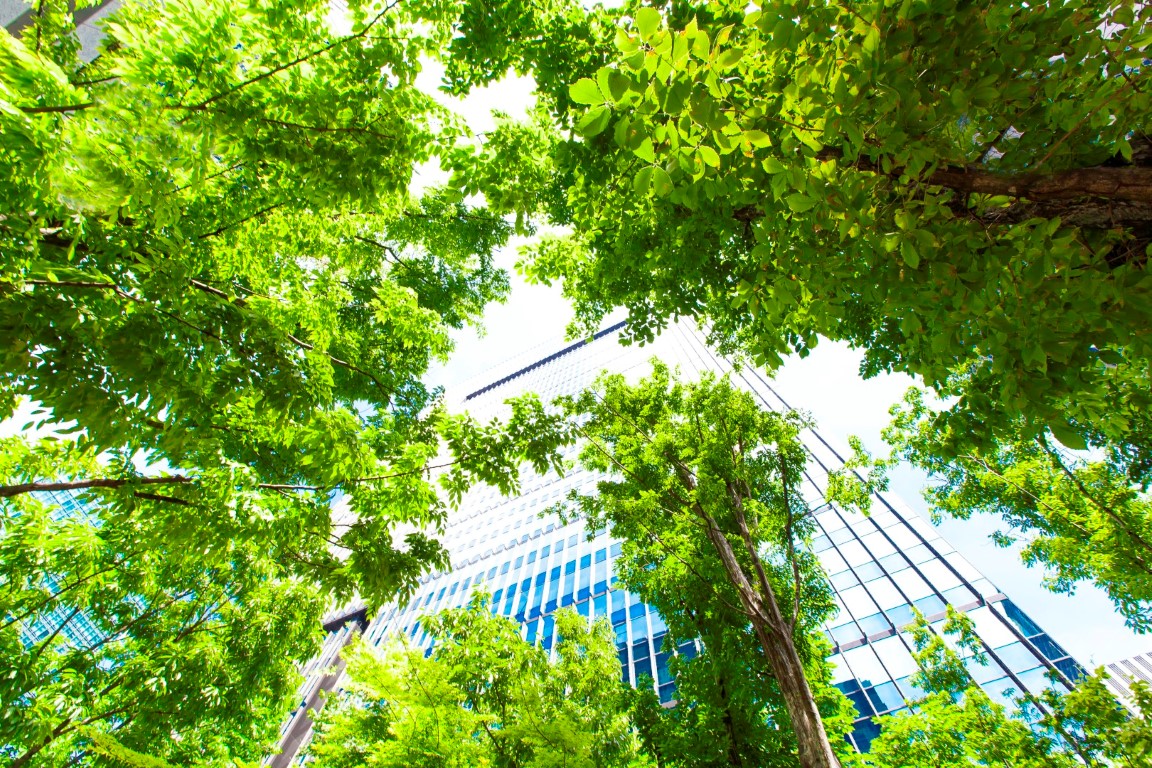 BBP Impact Report 2015/16