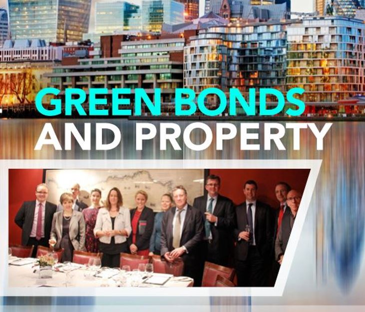 Green Bonds and Property Ebook