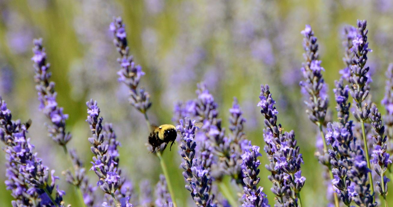 Our Position on Climate Change