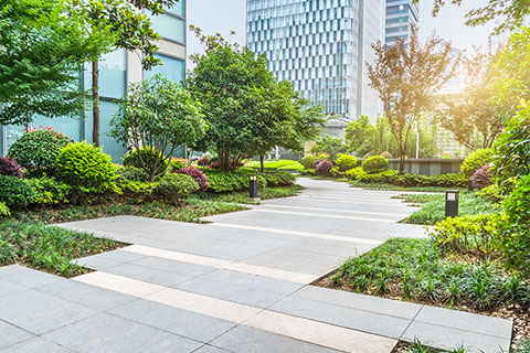 Net Zero Carbon Pathway Framework