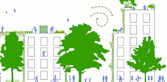 London property owners join forces to launch Wild West End ecology initiative