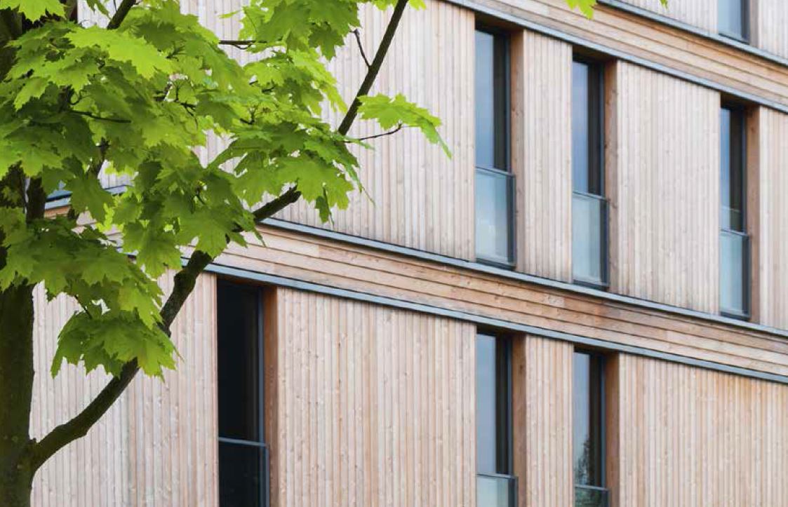 Sustainability Bites? The Impact of Minimum Energy Efficiency Standards for Commercial Real Estate Lending