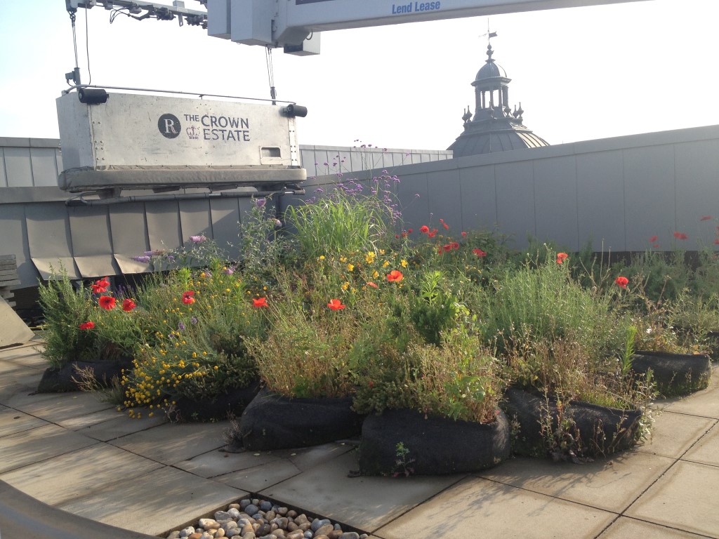 Ecological Master Plan in London Ecological Master Plan in London