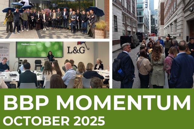 infographic sidebar only