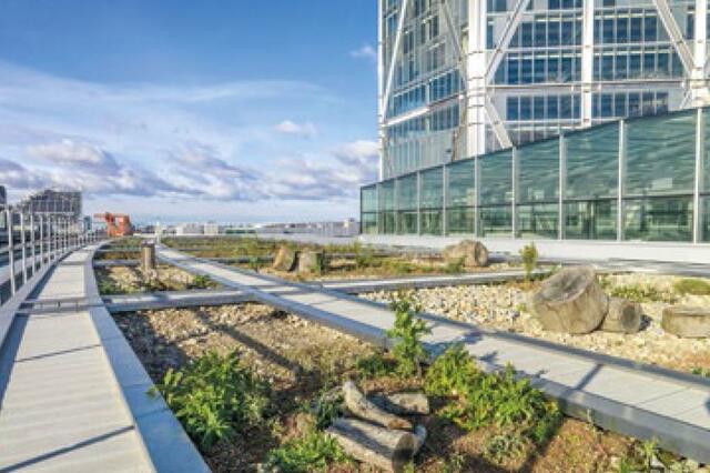 Creating Positive Impacts: British Land's Sustainability Strategy for 2020 