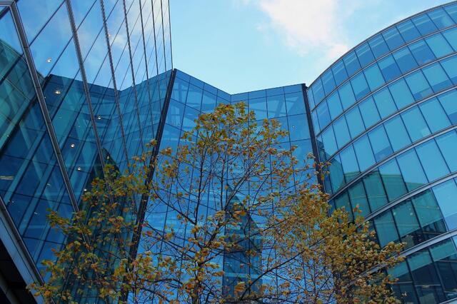 Commercial Office Building with Tree