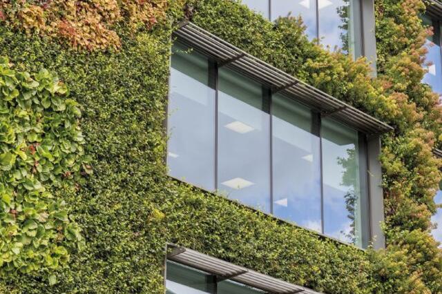 building with greenery