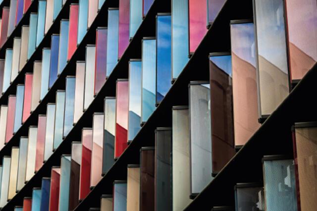 Impact Report 2019/2020