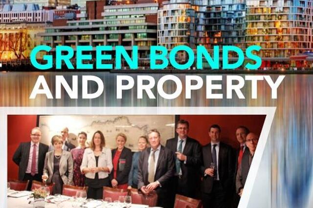 Green Bonds and Property Ebook