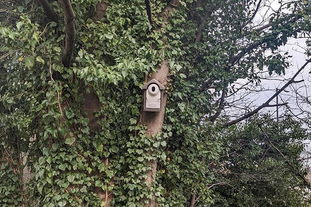 Small Steps Make a Big Biodiversity Impact on Industrial Park