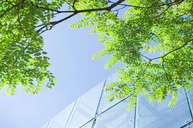 BBP Impact Report 2016/17