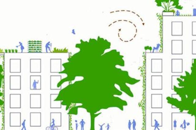 London property owners join forces to launch Wild West End ecology initiative