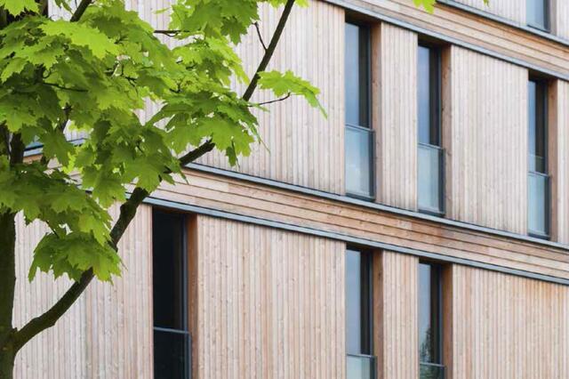 Sustainability Bites? The Impact of Minimum Energy Efficiency Standards for Commercial Real Estate Lending